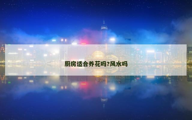 厨房适合养花吗?风水吗