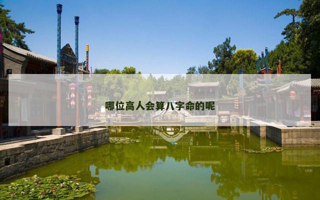 哪位高人会算八字命的呢