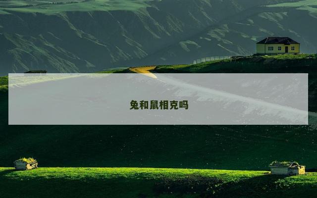 兔和鼠相克吗