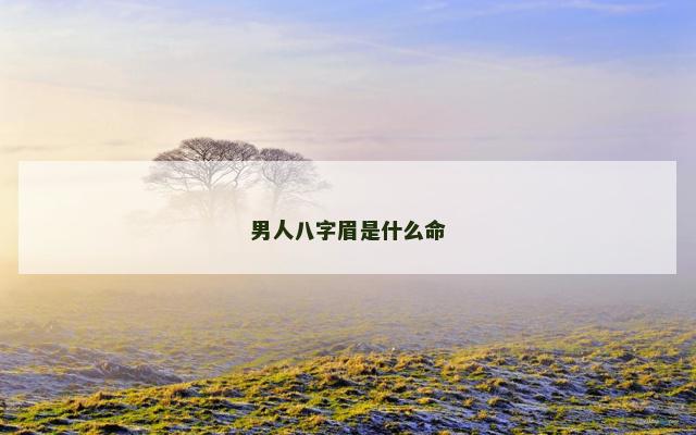 男人八字眉是什么命