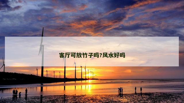 客厅可放竹子吗?风水好吗
