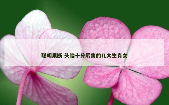 聪明果断 头脑十分厉害的几大生肖女