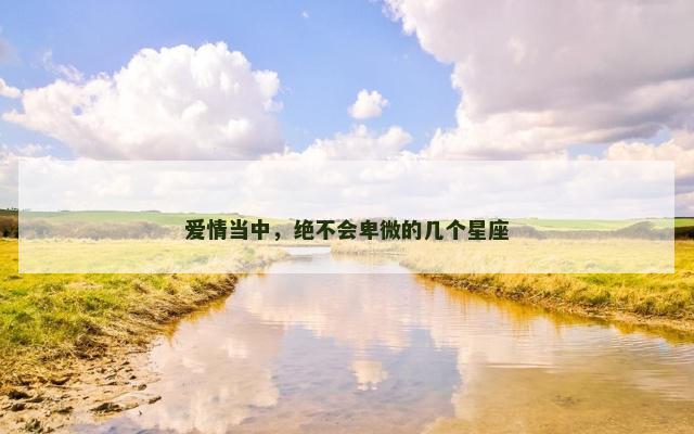 爱情当中，绝不会卑微的几个星座