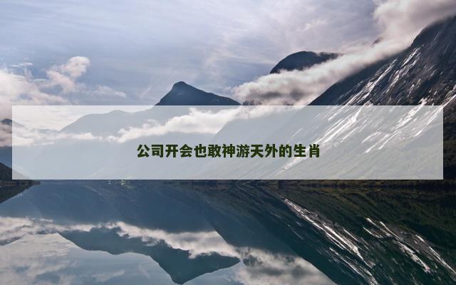 公司开会也敢神游天外的生肖