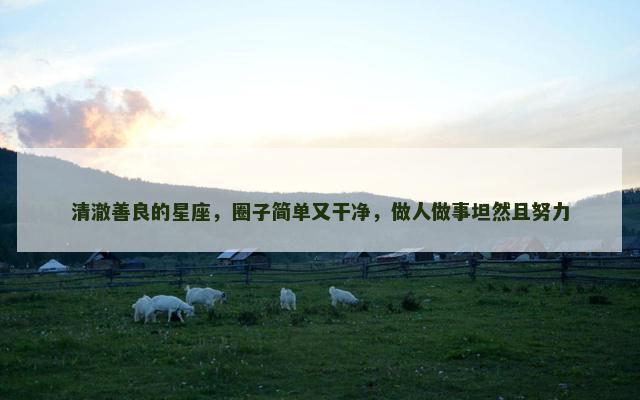 清澈善良的星座，圈子简单又干净，做人做事坦然且努力