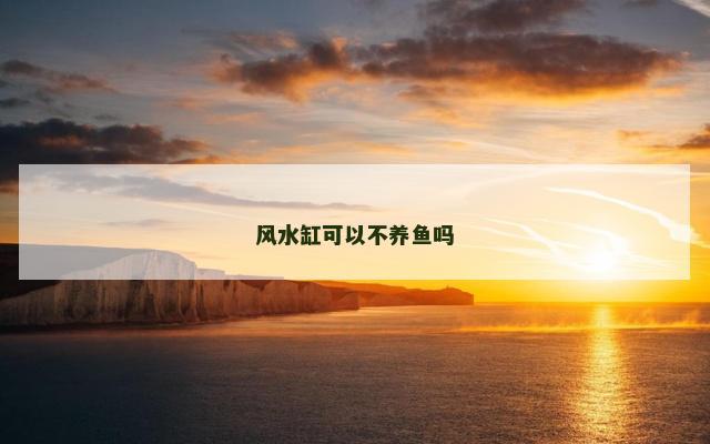 风水缸可以不养鱼吗