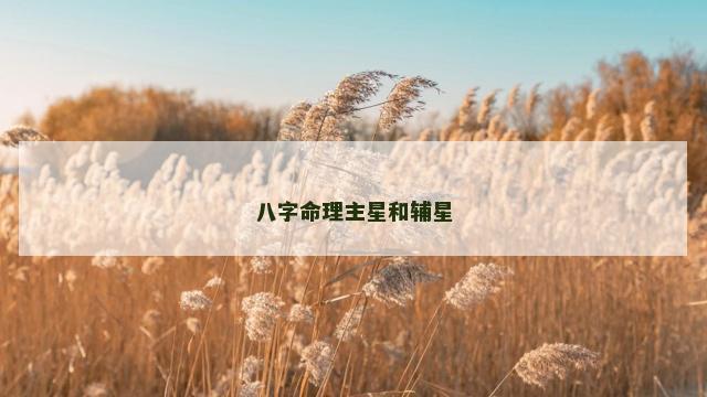 八字命理主星和辅星