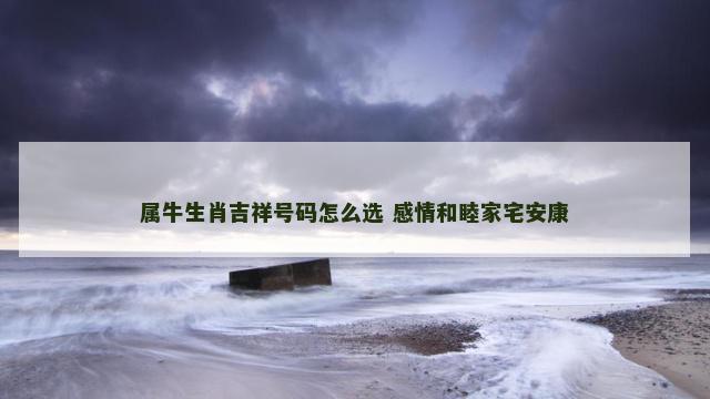 属牛生肖吉祥号码怎么选 感情和睦家宅安康
