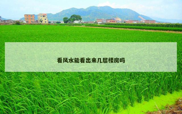 看风水能看出来几层楼房吗