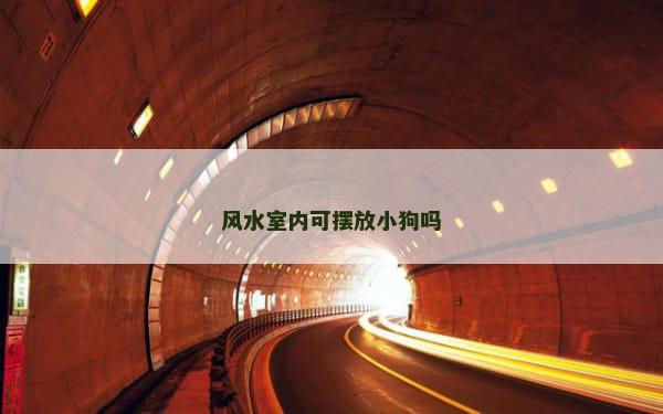 风水室内可摆放小狗吗