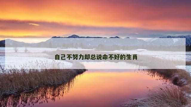 自己不努力却总说命不好的生肖