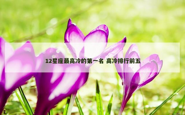 12星座最高冷的第一名 高冷排行前五