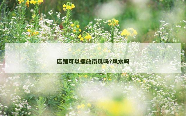 店铺可以摆放南瓜吗?风水吗