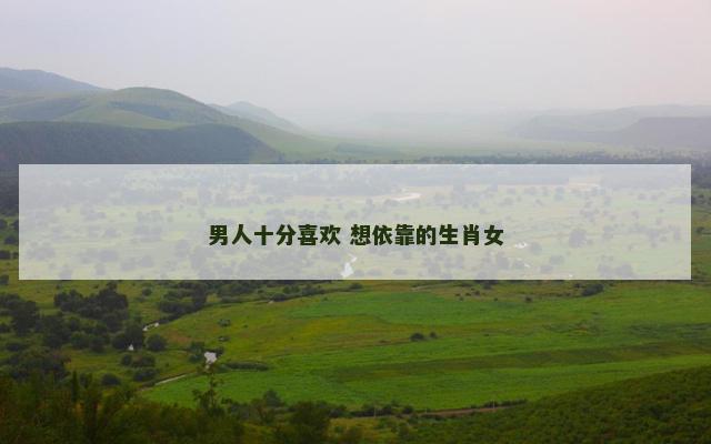 男人十分喜欢 想依靠的生肖女