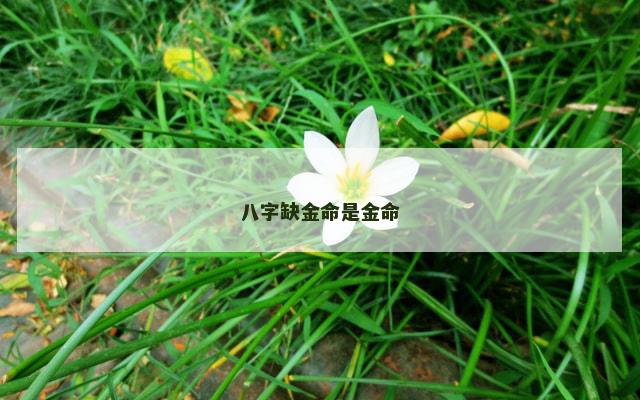 八字缺金命是金命