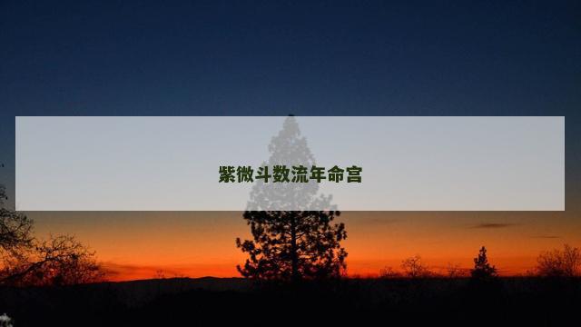 紫微斗数流年命宫