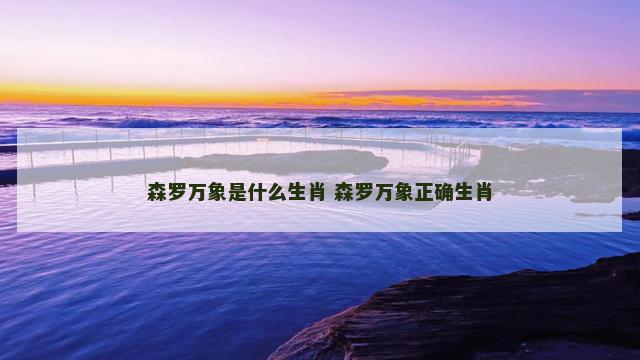 森罗万象是什么生肖 森罗万象正确生肖