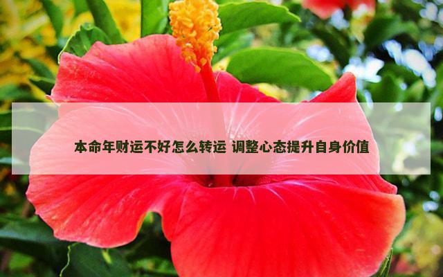 本命年财运不好怎么转运 调整心态提升自身价值