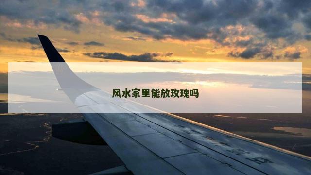 风水家里能放玫瑰吗