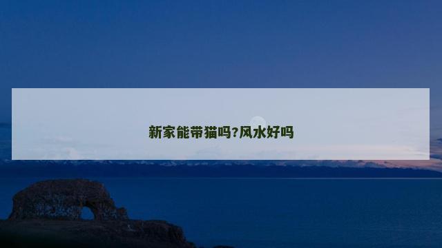 新家能带猫吗?风水好吗