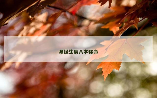 易经生辰八字称命