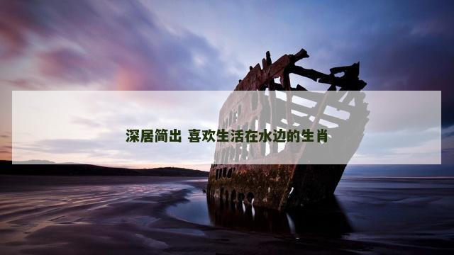 深居简出 喜欢生活在水边的生肖