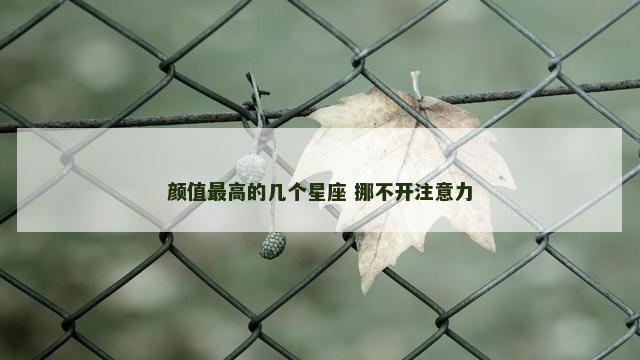 颜值最高的几个星座 挪不开注意力