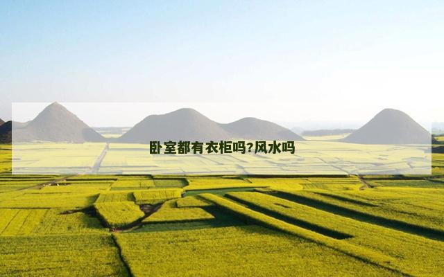 卧室都有衣柜吗?风水吗