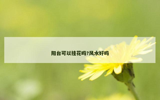 阳台可以挂花吗?风水好吗