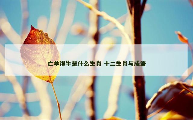 亡羊得牛是什么生肖 十二生肖与成语