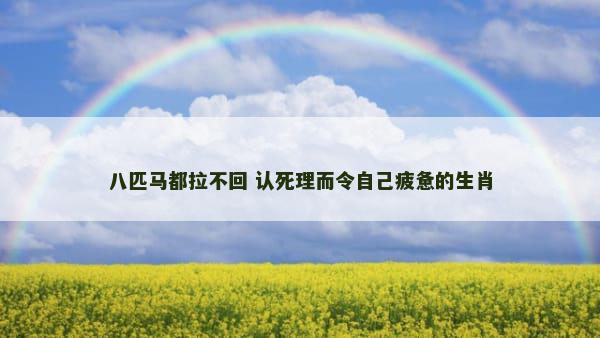 八匹马都拉不回 认死理而令自己疲惫的生肖