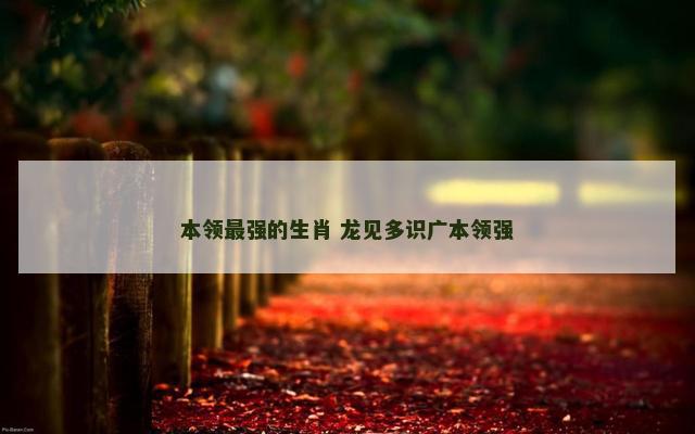 本领最强的生肖 龙见多识广本领强