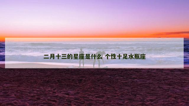 二月十三的星座是什么 个性十足水瓶座