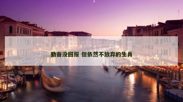 勤奋没回报 但依然不放弃的生肖