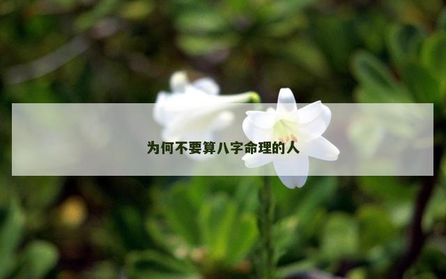为何不要算八字命理的人