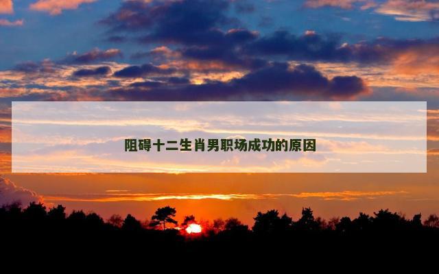 阻碍十二生肖男职场成功的原因