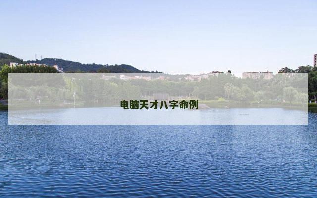 电脑天才八字命例