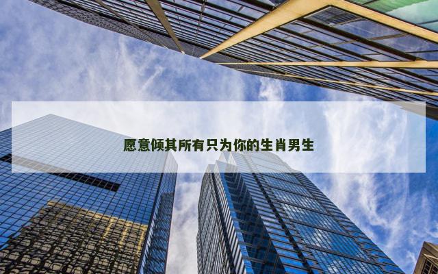 愿意倾其所有只为你的生肖男生