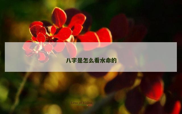 八字是怎么看水命的