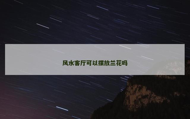 风水客厅可以摆放兰花吗
