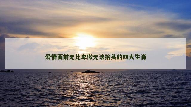 爱情面前无比卑微无法抬头的四大生肖