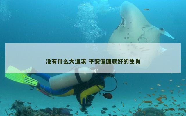 没有什么大追求 平安健康就好的生肖