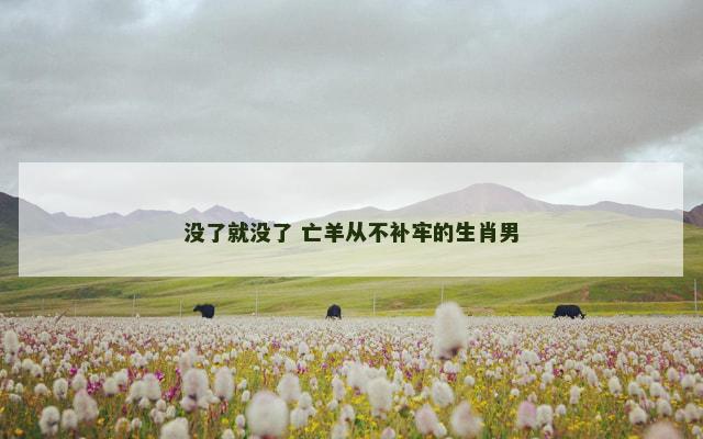 没了就没了 亡羊从不补牢的生肖男