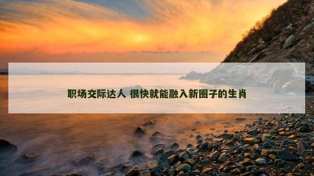 职场交际达人 很快就能融入新圈子的生肖