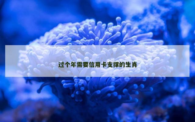 过个年需要信用卡支撑的生肖