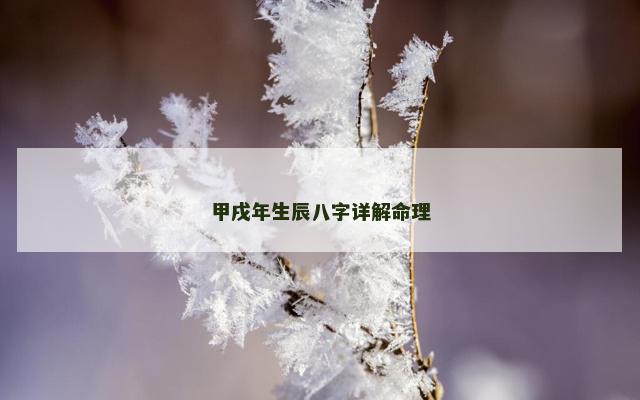 甲戌年生辰八字详解命理