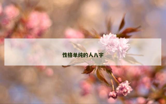 性格单纯的人八字