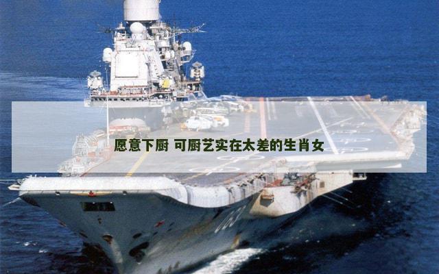 愿意下厨 可厨艺实在太差的生肖女