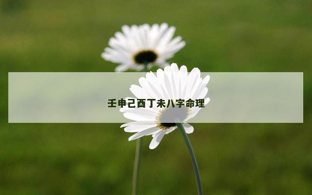 壬申己酉丁未八字命理