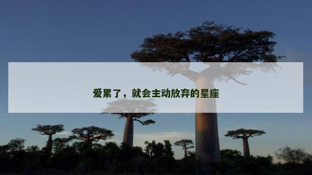 爱累了，就会主动放弃的星座